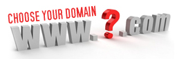 Domain Name